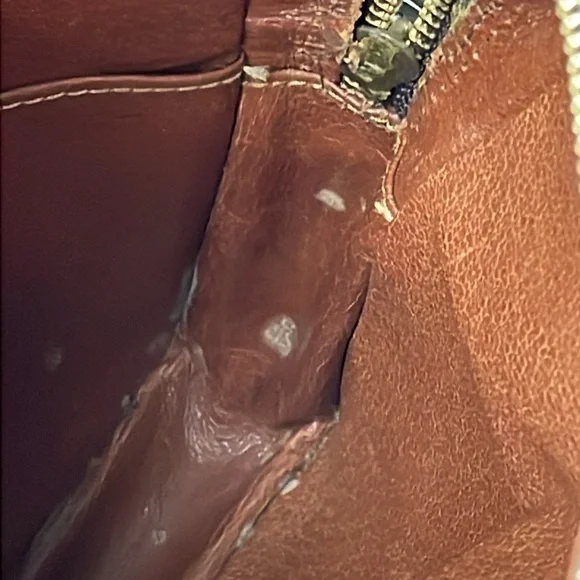 Louis Vuitton Monogram Mini Amazon Bag Crossbody Detachable Chain Strap Two Zip - Picture 13 of 17